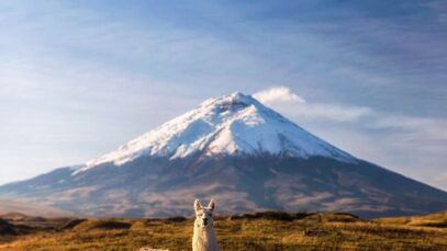 d5d4c326db7ba87433a8e69e8be3f005