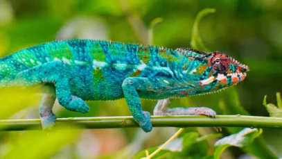 5950321085_f2a85ab7da_o-min