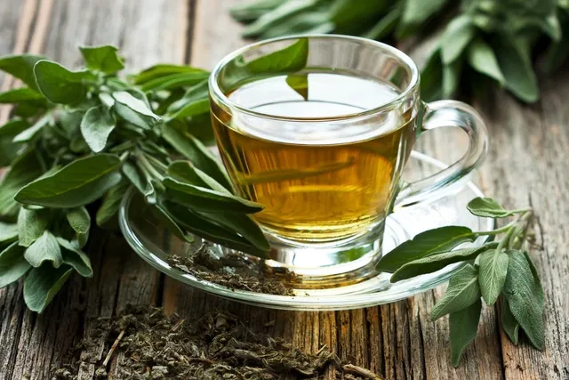Los beneficios del té verde para la salud después de los 45