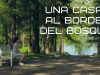 A quien no haya visto esta película se la RECOMIENDO | UNA CASA AL BORDE DEL BOSQUE |